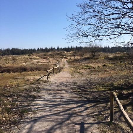 Reiterhof Wollesen Hotel Süderlügum Bagian luar foto