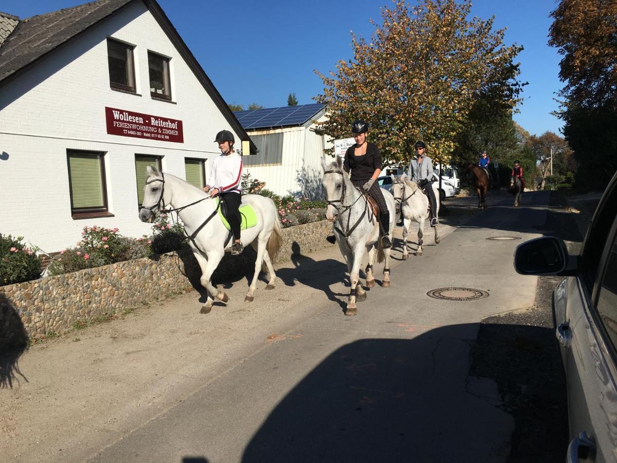 Reiterhof Wollesen Hotel Süderlügum Bagian luar foto