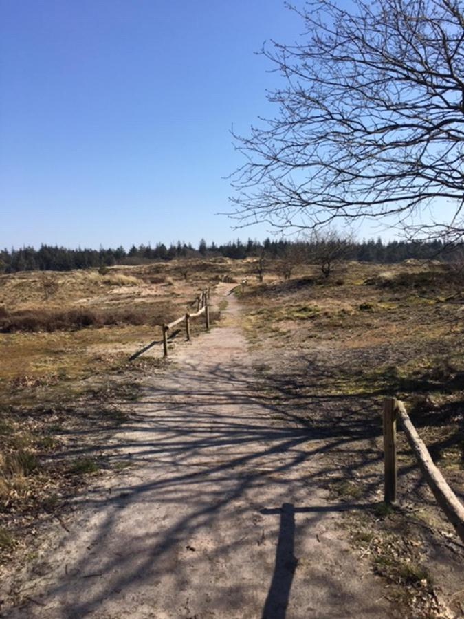 Reiterhof Wollesen Hotel Süderlügum Bagian luar foto